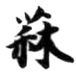 HDIC-KTB-4_033_A41